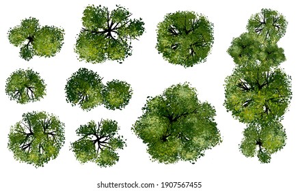 Collection of abstract watercolor green tree top view isolated on white background  for landscape plan and architecture layout drawing, elements for environment and garden, green grass illustration