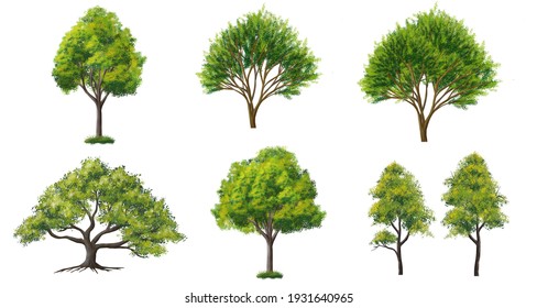 Collection of abstract watercolor green tree side view isolated on white background  for landscape plan and architecture layout drawing, elements for environment and garden, green grass illustration