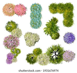 Ručne vykreslený pôdorys izbových rastlín
