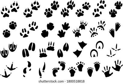 Animal Footprint Vector Stock Vector (Royalty Free) 169856024