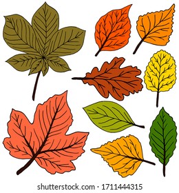 Collection Autumn Leaves Twotone Prints Paint Stock Vector (Royalty ...