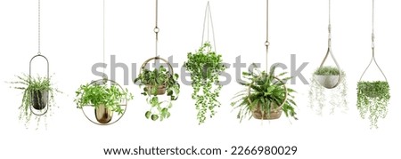 Collection of beautiful plants hanging in various pots isolated on white background. 3D render. 3D illustration. Сток-фото © 