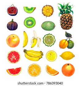 Collection of exotic fruits