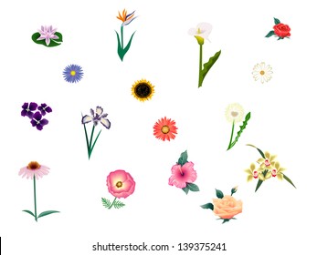 collection flowers