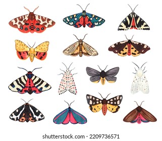 Collection Of Garden Tiger Moths, Arctiidae Family. Watercolor Illustration Of Beautiful Night Mots, Detailed And Isolated On White Background