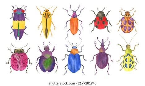 Collection Of Hand Drawn Illustration - Colorful Insects, Beetles, Scarabs. Watercolor Set - Bugs.