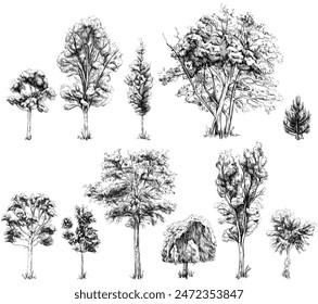 Collection of hand drawn trees. Sketch illustration isolated on white background set.