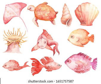 Collection Of Hand Drawn Watercolor Sea Creatures