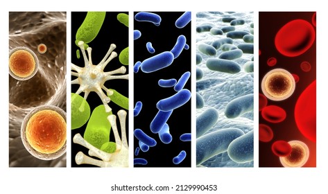 Collection Of Horizontal Or Vertical Banners With Pathogenic Bacterias And Viruses. Virus Under Microscope. Fast Multiplication Of Bacteria. Infection And Microbe. 3d Render