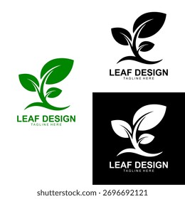 A collection of leaf design logos featuring abstract plant illustrations in green black and white colors suitable for brand identity and environmental projects