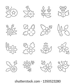 Japanese Crest Icons Vector Gold Flower Stock Vector (Royalty Free ...