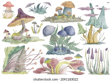 Collection Of Mushrooms, Plants, Fungi, Lichen And Moss. Decorative Fantasy Floral Elements Set. Isolated Objects On White Background. Watercolor  Illustration