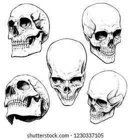 Collection Painted Skulls Stock Illustration