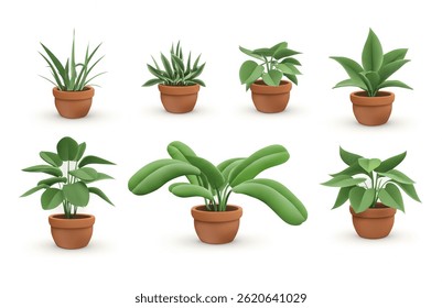 Collection of realistic 3D vector potted plants for interior decor. Isolated on white.