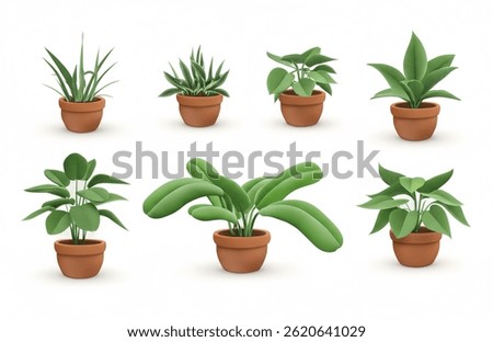 Collection of realistic 3D vector potted plants for interior decor. Isolated on white.