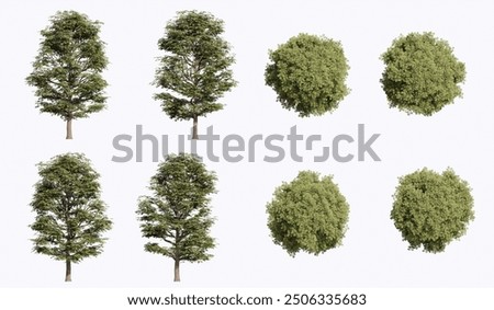 Similar – Image, Stock Photo Tree in front of lake in Jasper (Lac Beauvert)