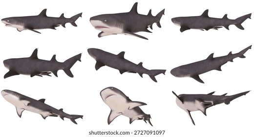 Collection of shark models in various angles.