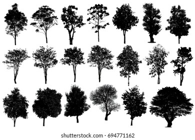 Vector Illustration Tree Silhouettes Architectural Compositions Stock ...