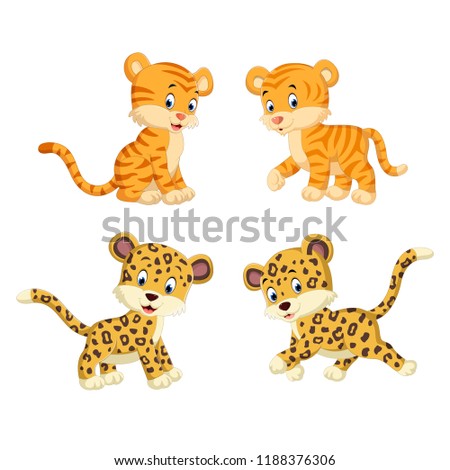 the collection of the tiger and leopard