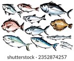 A collection of various hand-drawn fish Japanese-style brush-drawn fish