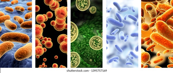 120,390 Pathogenic Bacteria Images, Stock Photos & Vectors | Shutterstock