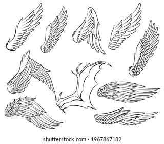 Collection Vintage Heraldic Wings Sketch Monochrome Stock Illustration ...