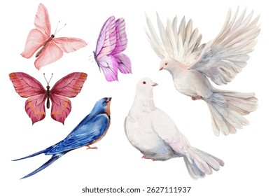 Colección de pájaros acuarela y mariposas: dos palomas blancas, una golondrina y tres mariposas rosas y moradas. Perfecto para el diseño romántico, scrapbooking, decoración de la boda, tarjetas y pegatinas. 