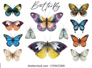 Collection of watercolor butterflies. Butterfly clip art for wedding invitation or greeting cards isolated on white background.