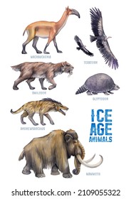 371 Ice age birds Images, Stock Photos & Vectors | Shutterstock