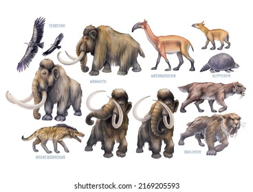 Collection of watercolor prehistoric animals isolated on a white background. Hand painted illustration of Ice Age.