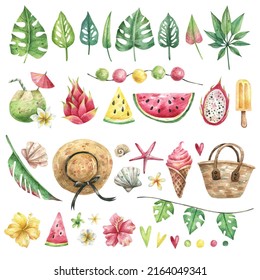 Collection of watercolor tropical elements hand drawn and isolated on white background. Aloha, beach party, tropical illustration set. Monstera, palm tree, watermelon, pitahaya, flowers, etc.
