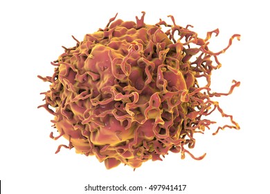 Colon Cancer Cell Isolated On White Background, 3D Illustration