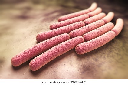 Colony Of A Shigella Sonnei Bacteria