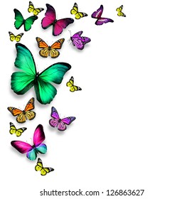 1,872 Burgundy Butterfly Images, Stock Photos & Vectors | Shutterstock