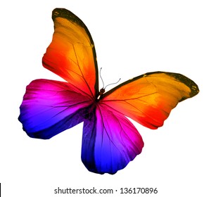 Color Butterfly Isolated On White Stock Illustration 136170896