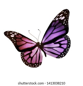 Violet Butterfly Isolated On White Background Stock Illustration 114428968