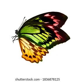 Stock Photo and Image Portfolio by suns07butterfly | Shutterstock