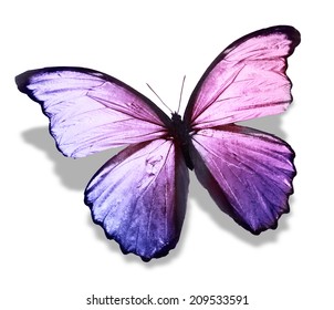 Red Butterfly Isolated On White Stock Illustration 124483861 | Shutterstock