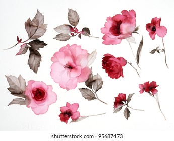 Color Illustration Of Flowers In Watercolor Paintings