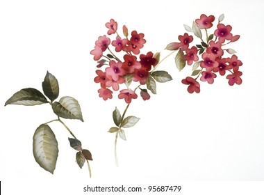 Color Illustration Of Flowers In Watercolor Paintings