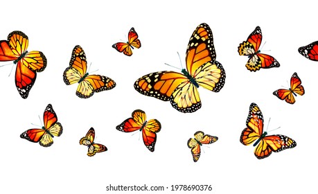 Color monarch butterflies as seamless background - Shutterstock ID 1978690376