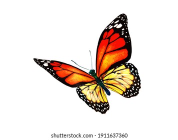 Color Monarch Butterfly Isolated On White Stock Illustration 1911637360 