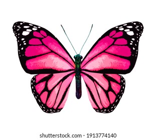 50,769 Pink Butterfly Watercolor Images, Stock Photos & Vectors ...