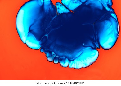 Color Paint Drops In Water. Ink Swirling Underwater. Cloud Of Silky Ink Collision On White Background. Colorful Abstract Smoke Explosion Animation. Close Up Camera View.