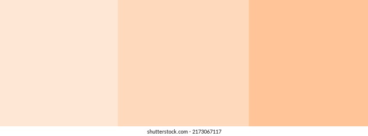 Color palette for skin tones from light to dark