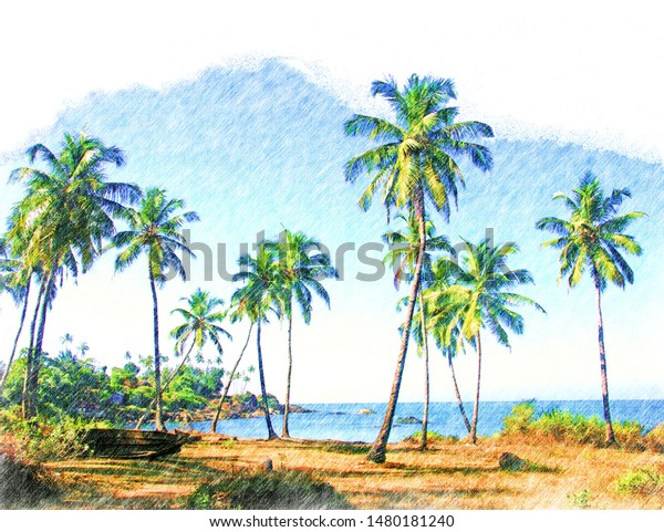 Color Pencil Drawing Tropical Nature Palm Stock Illustration