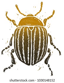 Colorado Potato Beetle Linocut Illustration Isolated Stock Illustration ...