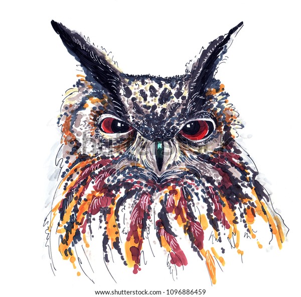 Colored Owl Looking You Drawing Aqua Stock Illustration 1096886459