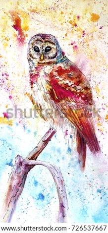 A colored owl painted in watercolor sits on a branch. ?olor splashes of watercolor