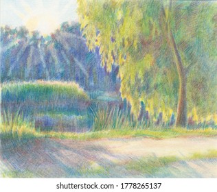 Colored pencils illustration  Drawing paper  Forest lake  willow grows the shore The morning sun is shining brightly the leaves the tree  Can be used for postcards  posters  prints  books 